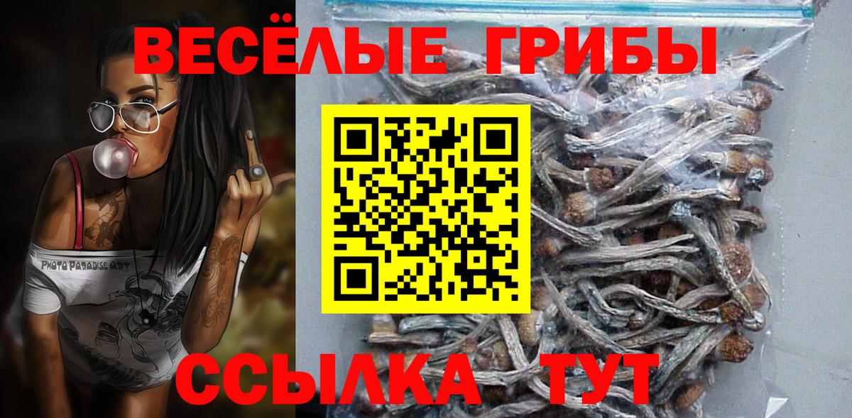 Галлюциногенные грибы прущие грибы Ессентуки