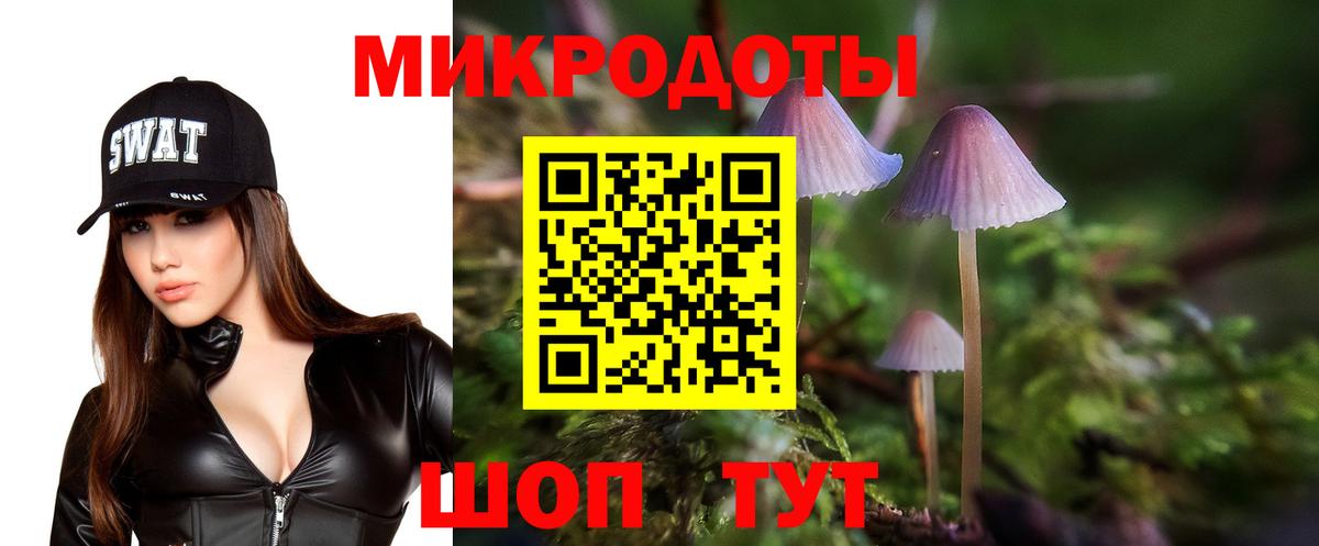 Ессентуки  Псилоцибиновые грибы Magic Shrooms  Вход с VPN  Галлюциногенные грибы Magic Shrooms 